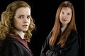 Hermione and Ginny - hermione-granger photo