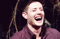 Jensen Ackles laugh - hottest-actors photo