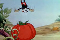 Mickey's  Garden - mickey-mouse photo