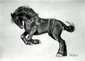 My sturdy pony-Real Big Macintosh - my-little-pony-friendship-is-magic photo