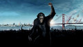 Rise Of The Planet Of The Apes - movies photo