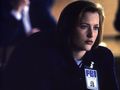 The X Files - tv-female-characters photo