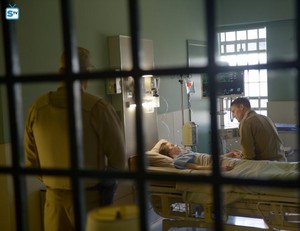  Wayward Pines "Blood Harvest" (2x02) promotional picture