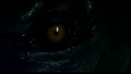 Werewolf Eye - horror-movies photo