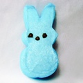 Blue Bunny Peep - random photo