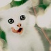 Cat icon made by me - KanonKyu  - animals icon