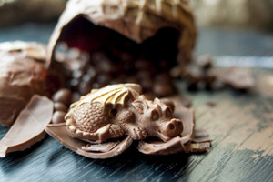  チョコレート Dragon
