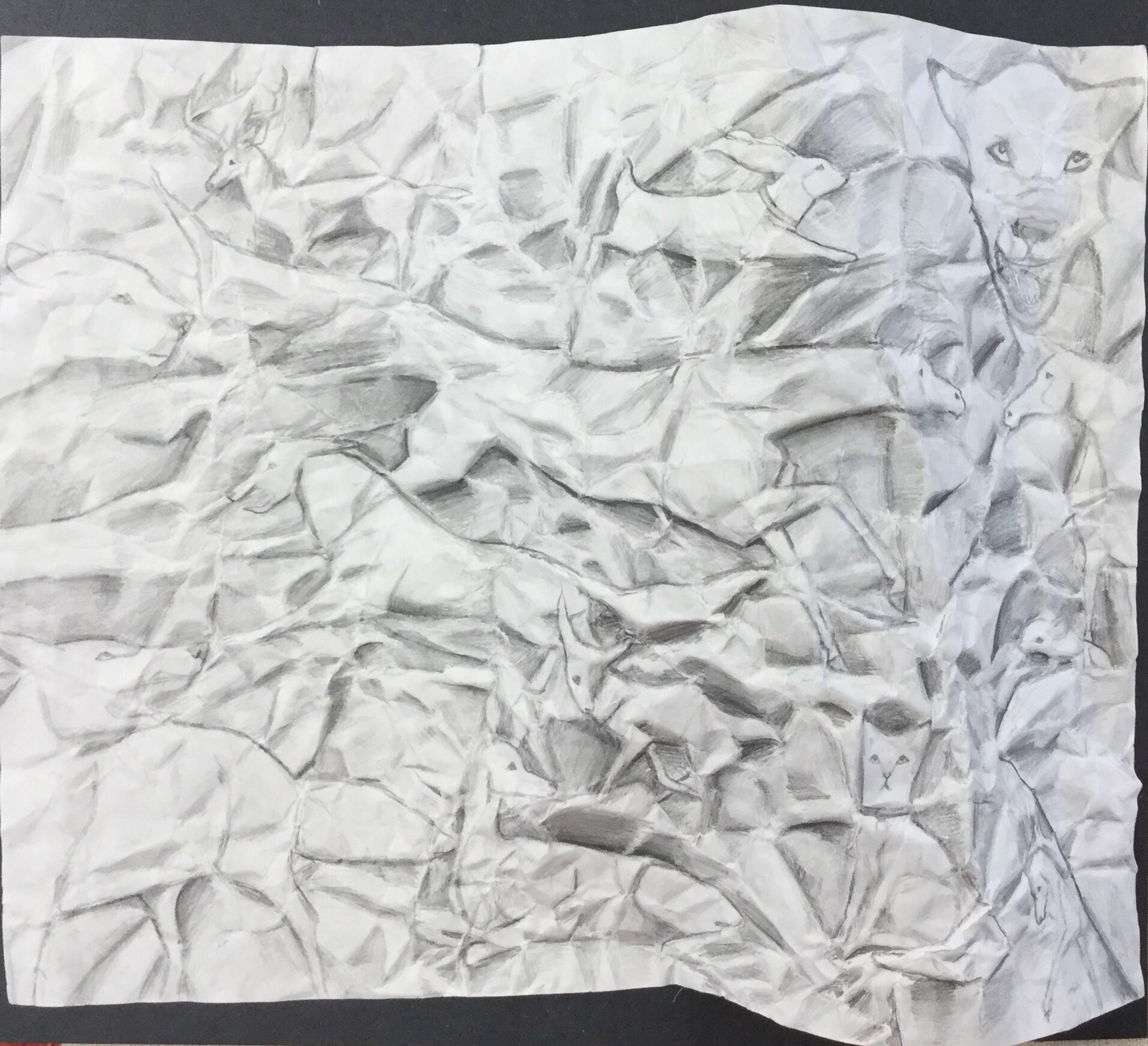 Featured image of post How To Draw A Crumpled Paper This will make up a realistic appearance of the crumpled paper
