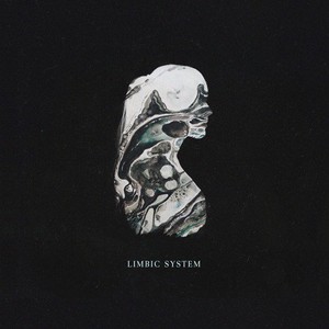 Limbic System album cover 