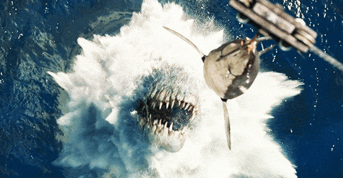 à¸œà¸¥à¸à¸²à¸£à¸„à¹‰à¸™à¸«à¸²à¸£à¸¹à¸›à¸ à¸²à¸žà¸ªà¸³à¸«à¸£à¸±à¸š jurassic world mosasaurus eats shark gif
