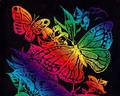 butterflies - Rainbow Butterflies wallpaper