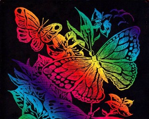  arco iris mariposas