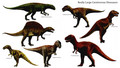 dinosaurs - Really Large Carnivorous Dinosaurs wallpaper