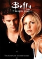 Season 2 of Buffy The Vampire Slayer - buffy-the-vampire-slayer photo