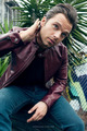 Sebastian Stan - hottest-actors photo