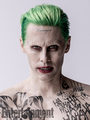 Suicide Squad Character Portraits - The Joker - suicide-squad photo