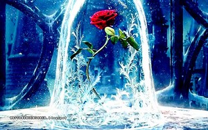  Teaser poster of 'Beauty and the Beast'