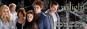  Twilight banner the cullens 2269055