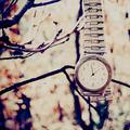Watches  2  - beautiful-pictures photo