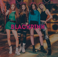       ♣ BLACKPINK ♣ - black-pink photo