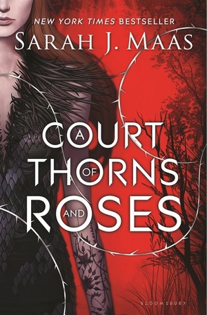  A Court of Thorns and 玫瑰 cover 1