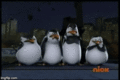 Angry Birds - penguins-of-madagascar photo