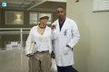 Grey's Anatomy - Episode 13.01 - Undo -  Promotional Photos  - greys-anatomy photo