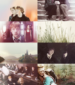 Hermione and Ron - harry-potter fan art
