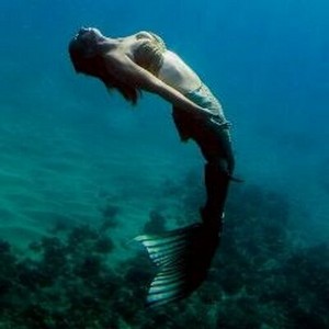  Mermaid Swimming