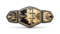 NXT Tag Team - wwe photo