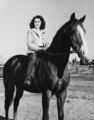 National Velvet (1944) Still - horses photo