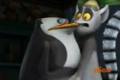Oops! - penguins-of-madagascar photo