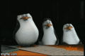 Reactions - penguins-of-madagascar photo