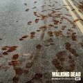 Season 7 ~ New World. New Rules. - the-walking-dead photo