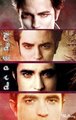 The Cullens - twilight-series photo