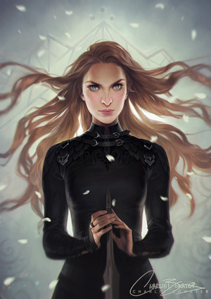 feyre the fox by charlie bowater