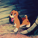 the fox and the hound  - classic-disney icon