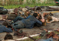 7x03 ~ The Cell ~ Dwight - the-walking-dead photo