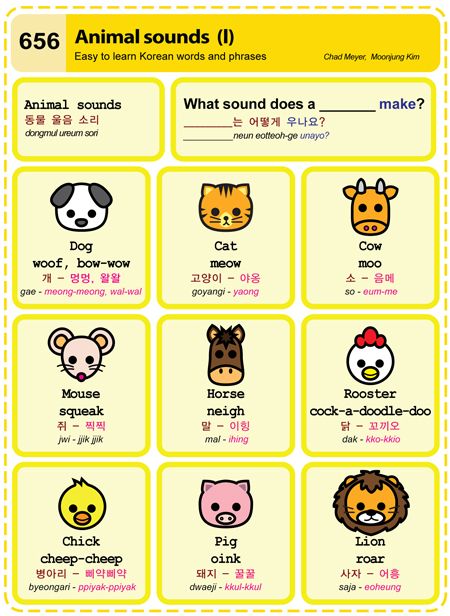 Animal sounds - Learning Korean bức ảnh (39946465) - fanpop
