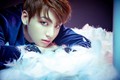 BTS drops concept photos of Rap Monster and Jungkook for 'Wings' comeback - bts photo