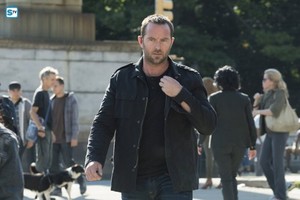  Blindspot - Episode 2.03 - Hero Fears Imminent Rot - Promotional 사진