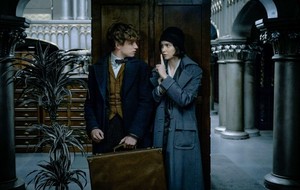  Fantastic Beasts And Where To FInd Them
