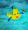 Flounder in Hufflepuff - the-little-mermaid photo