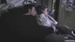 Meredith and Derek 32 - tv-couples icon