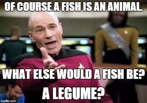  Of Course a 魚 is an Animal