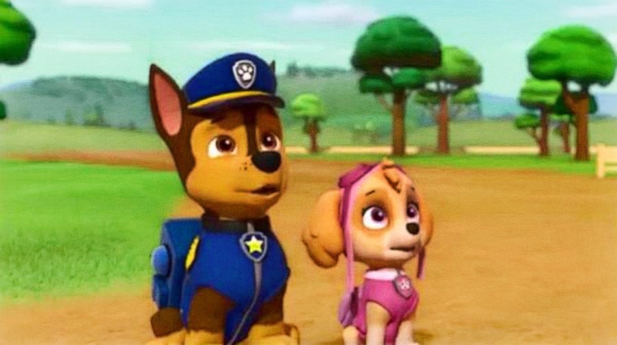 Skye and Chase - PAW Patrol پرستار Art: Skye and Chase.