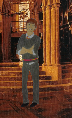  Troy in Gryffindor