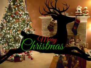  1st Tag Of December- Weihnachten Card