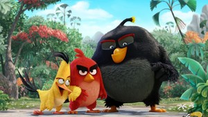  2016 Angry Birds Movie پیپر وال