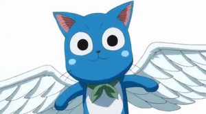  anime cat